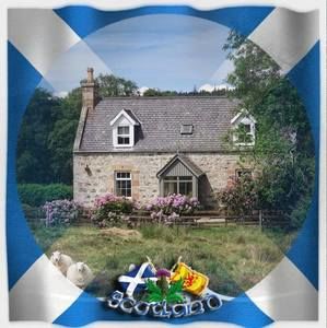 Meet your Posher, Helen